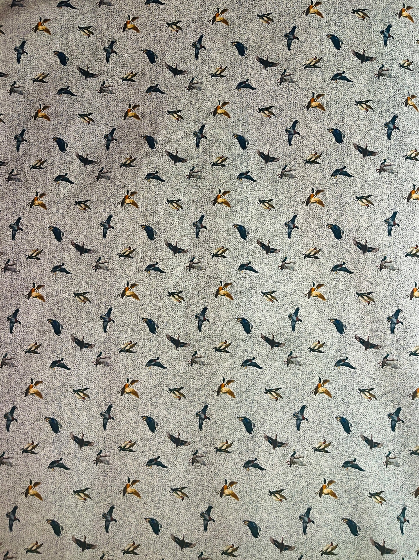 KAI Bird Print Cotton Poplin. Sustainable made in Italy.KAI Bird Print Cotton Poplin. Sustainable made in Italy.